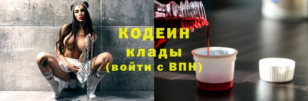 хмурый Елизово