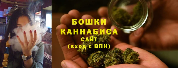 круглые Ельня