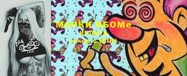 хмурый Елизово